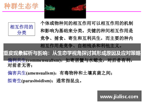 重皮现象解析与影响：从生态学视角探讨其形成原因及应对策略